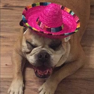 Meet your Posher, Matthew